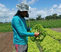 Estudo apoiado pelo Governo de Alagoas visa reduzir a dependência de importações agrícolas