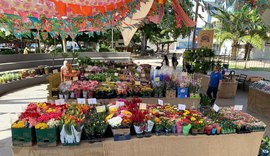 Feira de Flores Holambra chega a Arapiraca com mais de 200 espécies