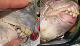 VÍDEO: peixe com 'dentes humanos' é pescado no ES e viraliza