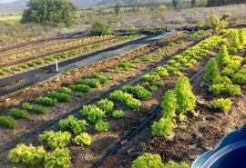 Agricultores são atendidos pela Emater às margens do Canal do Sertão