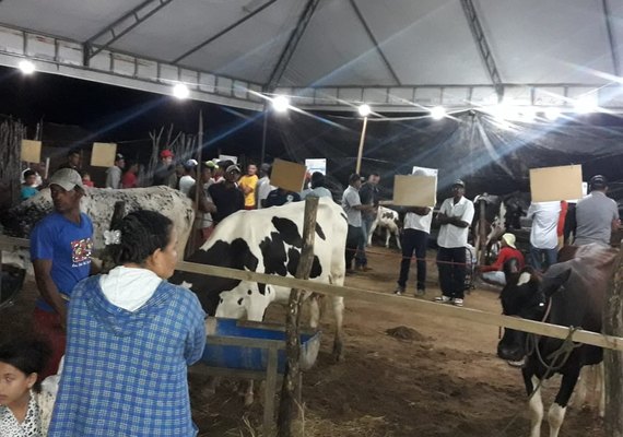 VI Torneio Leiteiro do Povoado Ribeira premia pequenos produtores da região