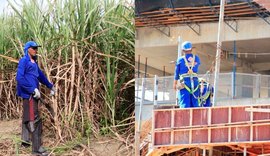 151 trabalhadores morreram em serviço nos últimos 6 anos em Alagoas