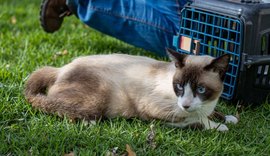 Maceió Shopping vai sediar neste sábado (29), a Feira de Adoção da Prefeitura de Maceió