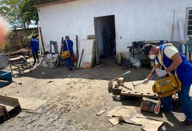 Maceió registra aumento de 42,92% no número de casos de dengue