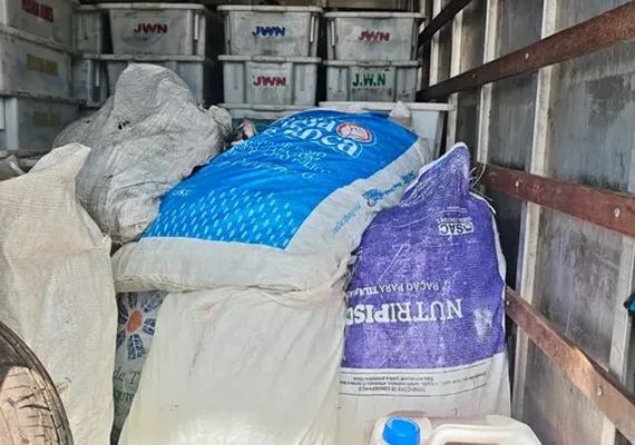 Carga de peixe imprópria para consumo é apreendida pela PRF em Canapi