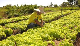 Cooperativas podem se inscrever no Desafio Microcrédito do BNDES