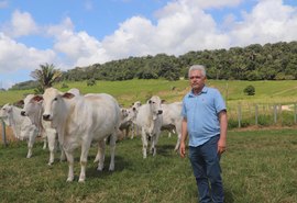 Varrela leva ao mercado genética Nelore com foco em desempenho e eficiência