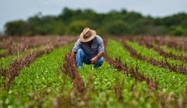 Crédito ao agronegócio está em crescimento, diz Banco do Brasil