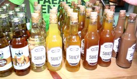 Licor artesanal de café conquista paladares e se destaca no interior de Alagoas