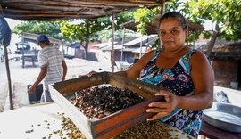 Banco da Mulher Empreendedora beneficiará marisqueiras