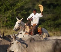Chapéu ou capacete? Governo esclarece regras de segurança no trabalho rural