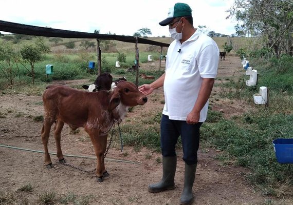 Setor rural alagoano é destaque nas contratações