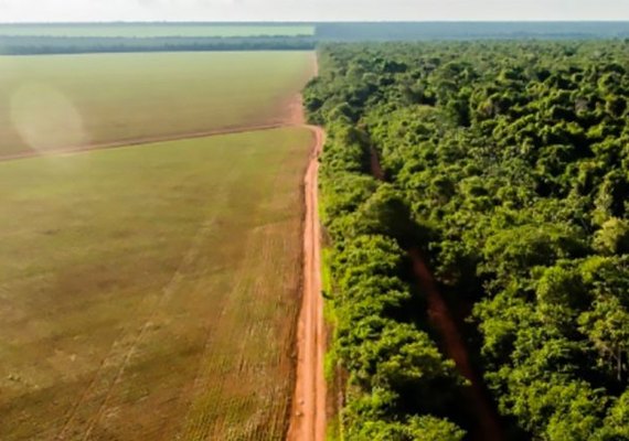 Enquanto agronegócio demite, Amazônia Legal contrata, aponta pesquisa