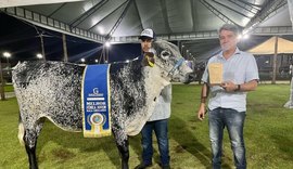 Expoalagoas Genética 2026 aposta em inovação e melhoramento do rebanho