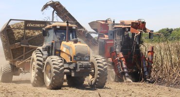 Mecanização avança nos canaviais do setor sucroenergético de AL