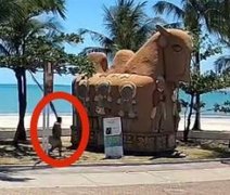 Imagens mostram suspeito de incendiar escultura “O Boi” no Jaraguá