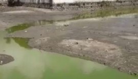 Prefeitura de Pilar retira jacarés de dentro de lago da cidade