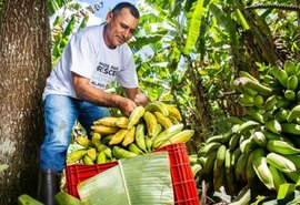 Cooperativas da agricultura familiar contribuem para o combate à insegurança alimentar em Alagoas