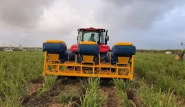 Cana Show testa no campo novas tecnologias para reduzir custos do produtor