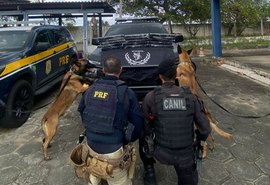 Passageiro de ônibus é preso com mais de 17 kg de maconha em São Sebastião