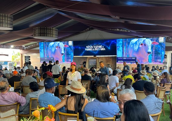 Leilão Nelore Santa Nazaré & Varrela movimenta mais de R$ 2,6 milhões em vendas