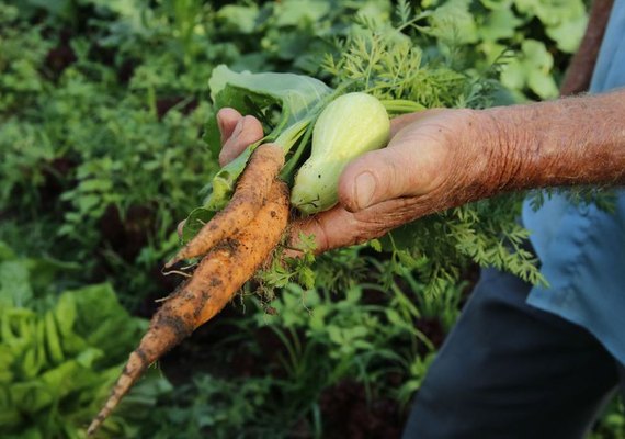 Sancionada lei que fortalece financiamento para agricultura familiar