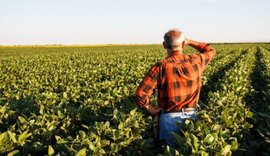 Prazo para entrega do Valor da Terra Nua termina em 30 dias