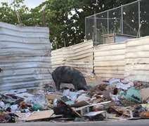 ''Prefeito não tem coragem de mandar limpar’’: moradores da periferia reclamam do acúmulo de lixo