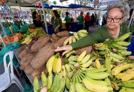 Feira agroecológica desta quarta (24) terá sorteio de mudas e vale-compras; confira