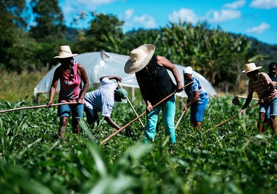 Senado aprova auxílio financeiro para agricultores familiares