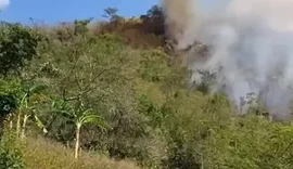 Incêndio atinge área de vegetação em Palmeira dos Índios