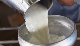 CPLA comemora Dia Mundial do Leite