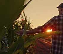 Cooperativas aumentam participação no financiamento de crédito rural