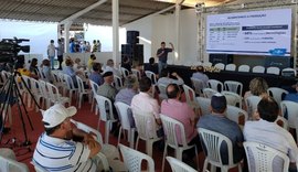 Expo Bacia Leiteira traz dia de campo sobre produção de sorgo granífero