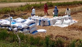 Coobapi e Coopaiba firmam intercooperação para a comercialização do arroz