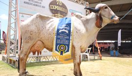 Associação dos Criadores divulga calendário das grandes exposições agropecuárias de 2026