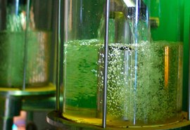 Comissão de Agricultura faz votação de PLs sobre etanol