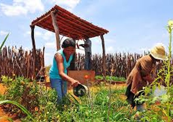 Produtores de Piaçabuçu são capacitados no programa Negócio Certo Rural