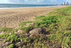Entidades denunciam ao MPF crime ambiental e alteração no curso do Rio Jacarecica, em Maceió