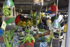 Feira Agroecológica Novo Jardim realiza edição especial na parte alta de Maceió