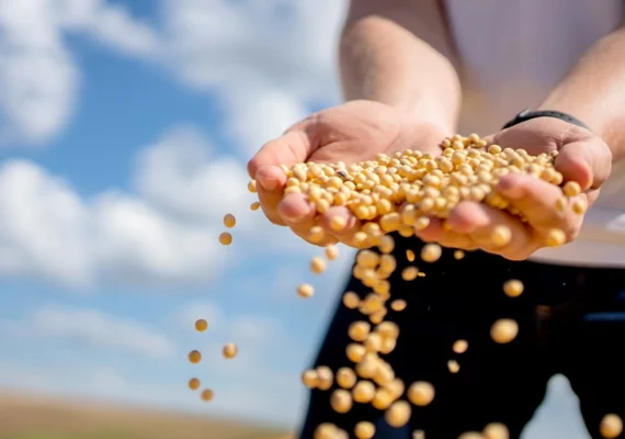 Cooperativismo agro cresce e se firma como pilar da economia brasileira