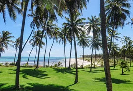 Coruripe entra em guia da Netflix e mira turismo internacional