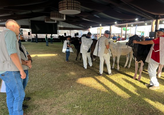 Etapa do Circuito Megaleite movimenta pistas da Expoagro e garante pontuação nacional ao rebanho Girolando