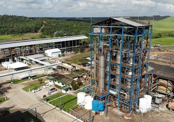 Meta de Pindorama é beneficiar 1 milhão de toneladas de cana