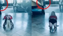 Britney Spears acusa funcionário de casa de ser “paparazzi secreto”