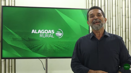 Assista ao Alagoas Rural na íntegra 11-01-26