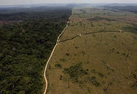 Alemanha suspende parte de verba que iria para a Amazônia