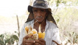 Garantia-Safra prorroga inscrições até 10 de março