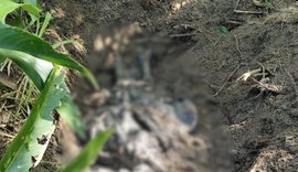 Corpo é encontrado em área de buscas no Litoral Norte de Alagoas