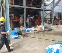 Mais de 200 quilos de drogas apreendidas são incineradas em Marechal Deodoro